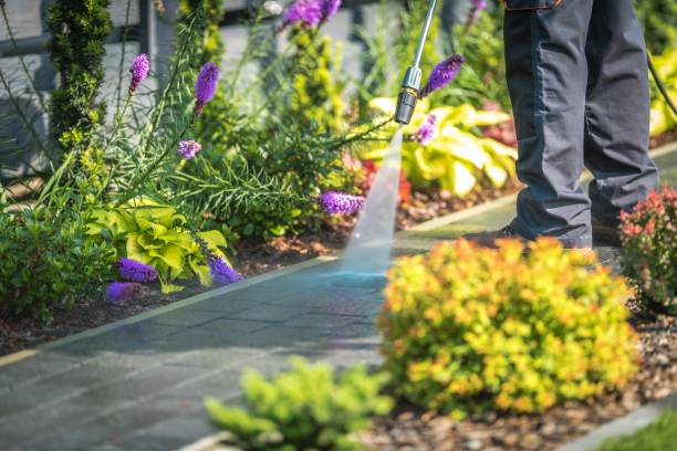 Best Winterizing Services  in Westhampton, NY